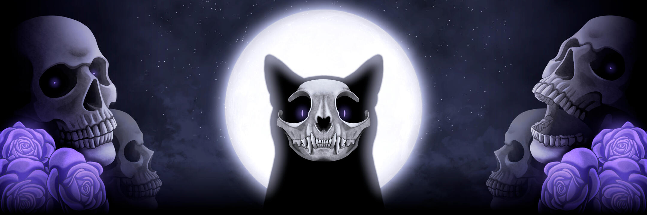 msblackcatheader